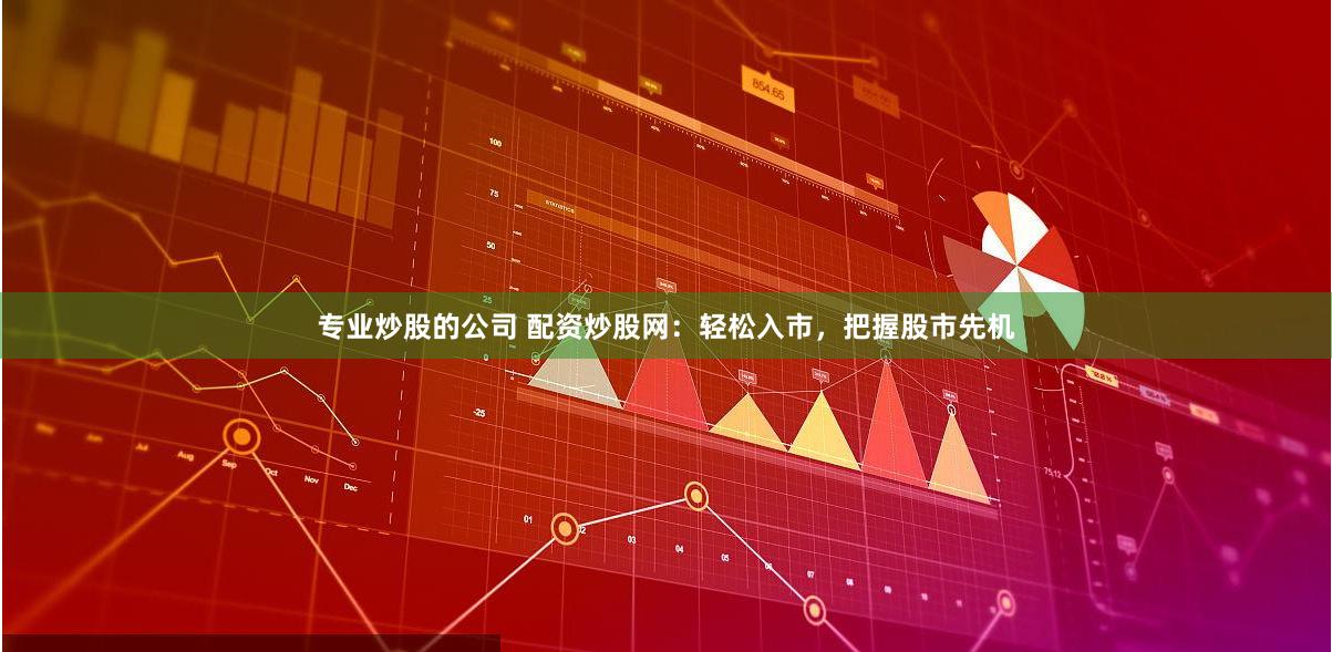 专业炒股的公司 配资炒股网：轻松入市，把握股市先机